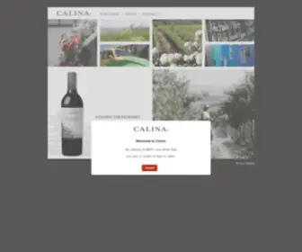 Calina.com(Calina Wines) Screenshot