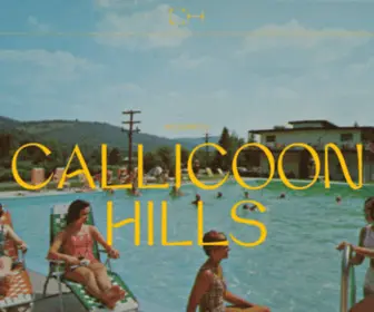 Callicoonhills.com(Callicoon Hills Resort Official) Screenshot