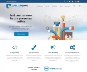 Calliduspro.com(Callidus Pro) Screenshot