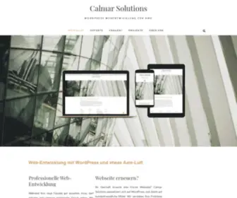 Calmarsolutions.ch(Webdesign) Screenshot