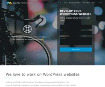 Calpaq.in(Wordpress Development) Screenshot