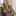 Calproaccountants.com Favicon