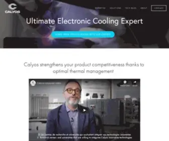 Calyos-TM.com(Specialists in taking traditional heat pipes to the next level) Screenshot