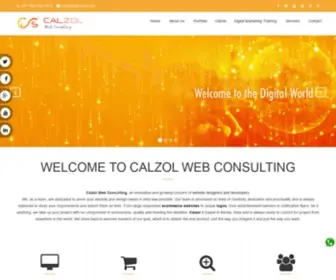 Calzol.com(Freedom Business Lifestyle) Screenshot