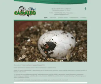 Camaleoweb.com(Camaleoweb) Screenshot