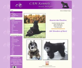 Cambouvier.com(Cambouvier) Screenshot
