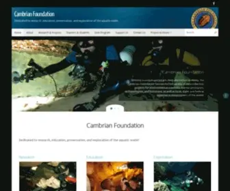 Cambrianfoundation.org(Cambrian Foundation) Screenshot