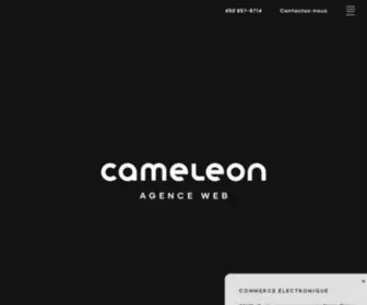 Cameleonmedia.com(Cameleon Agence Web) Screenshot