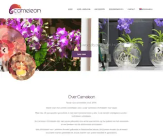 Cameleonorchids.com(Cameleon) Screenshot