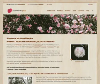 Camellias.pics(Index) Screenshot