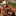 Camiryan.com Favicon