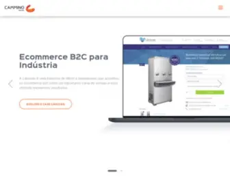 Cammino.com.br(Tecnologia e Marketing de Performance para Ecommerces) Screenshot