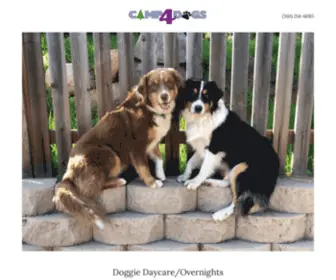 CaMP4Dogs.com(Dog care) Screenshot