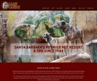 Campcaninesb.com(Camp Canine SB) Screenshot