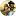 Campergame.com Favicon