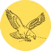 Campflyingeagle.com Favicon