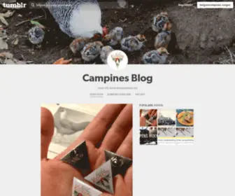 Campines.be(Campines Blog) Screenshot