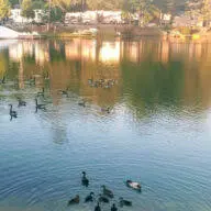 Campingnorthcarolina.com Favicon