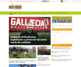 Campogalego.com(Campo Galego) Screenshot