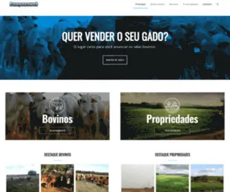 Camponaweb.com.br(Campona Web) Screenshot