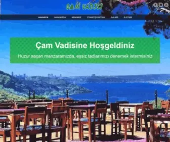 Camvadisi.com(Çam) Screenshot