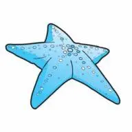 Camviaggi.com Favicon