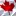 Canadacitizenshipstudyguide.com Favicon