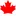 Canadamoda.com.ar Favicon