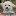 Canadasguidetodogs.com Favicon