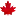 Canadavisa.com Logo