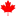 Canadianathletesnow.ca Logo