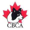 Canadianbordercollies.org Favicon