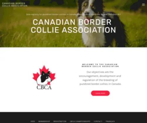 Canadianbordercollies.org(Canadian Border Collie Association) Screenshot