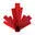 Canadianplayoutlet.com Logo