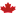 Canadianrxmedsonline.com Favicon