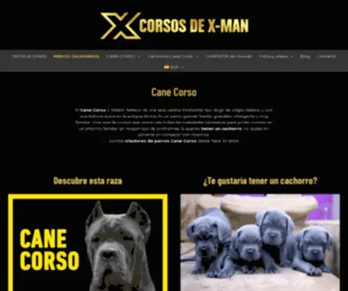 Canecorsobarcelona.com(Cane corso) Screenshot