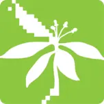 Canelodigital.cl Favicon