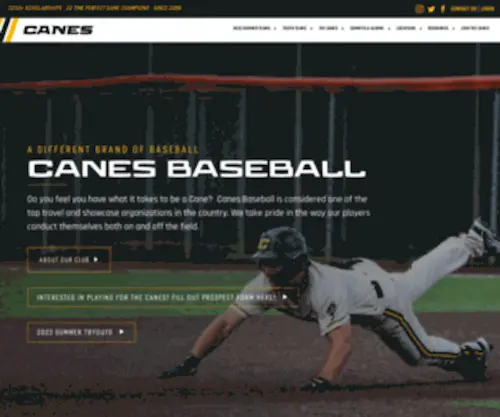 Canesbaseball.net(Canes baseball) Screenshot
