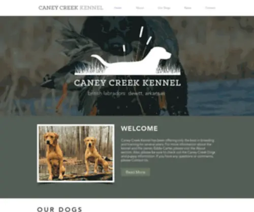 Caneycreekkennel.com(British Lab Gun Dogs) Screenshot