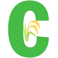 Canhdien.com Favicon