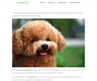 Caniche-Toy.com(Caniche Toy) Screenshot