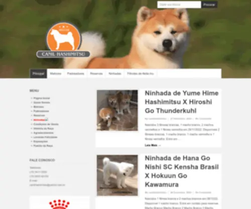 Canilhashimitsu.com.br(Canil Hashimitsu) Screenshot