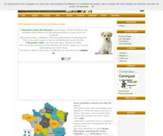 Canin.fr(CANIN Annuaire de Chiens de Race et des Eleveurs en europe) Screenshot