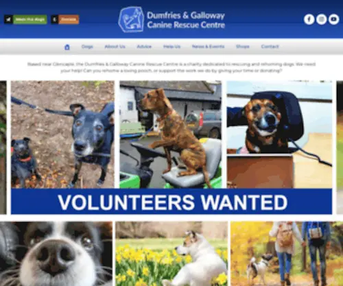 Caninerescue.co.uk(Caninerescue) Screenshot