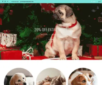 Caninesandco.com(Canines & Co) Screenshot