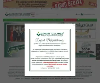 Cankirituzlamba.com(Çankırı Tuz Lamba) Screenshot