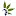 Cannabiscentrifuges.com Favicon