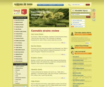 Cannabismjseeds.com(Cannabis seeds strain base) Screenshot