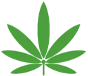 Cannabisneurologia.com.br Favicon