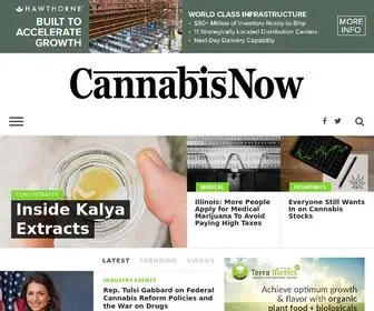 Cannabisnow.com(Cannabis Now) Screenshot